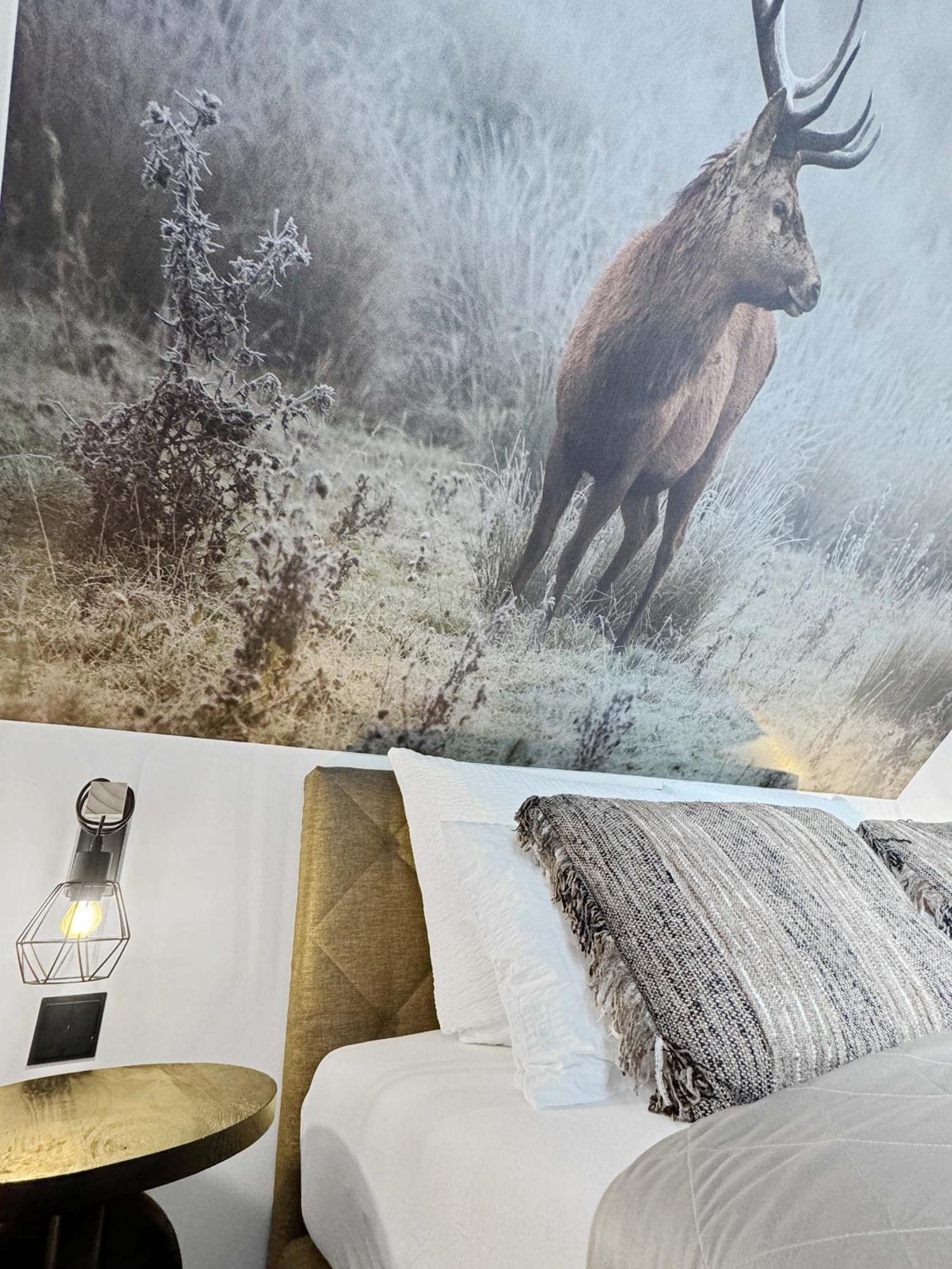 בנטוויץ' Cblue: Seeblick, Kamin, Wallbox, Natur מראה חיצוני תמונה
